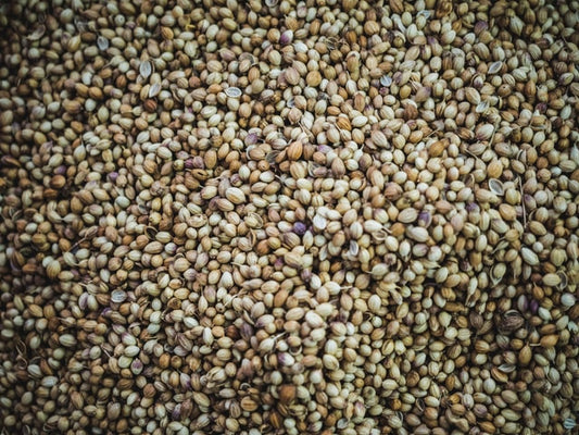 6 Surprising Health Benefits of Hemp Seeds
