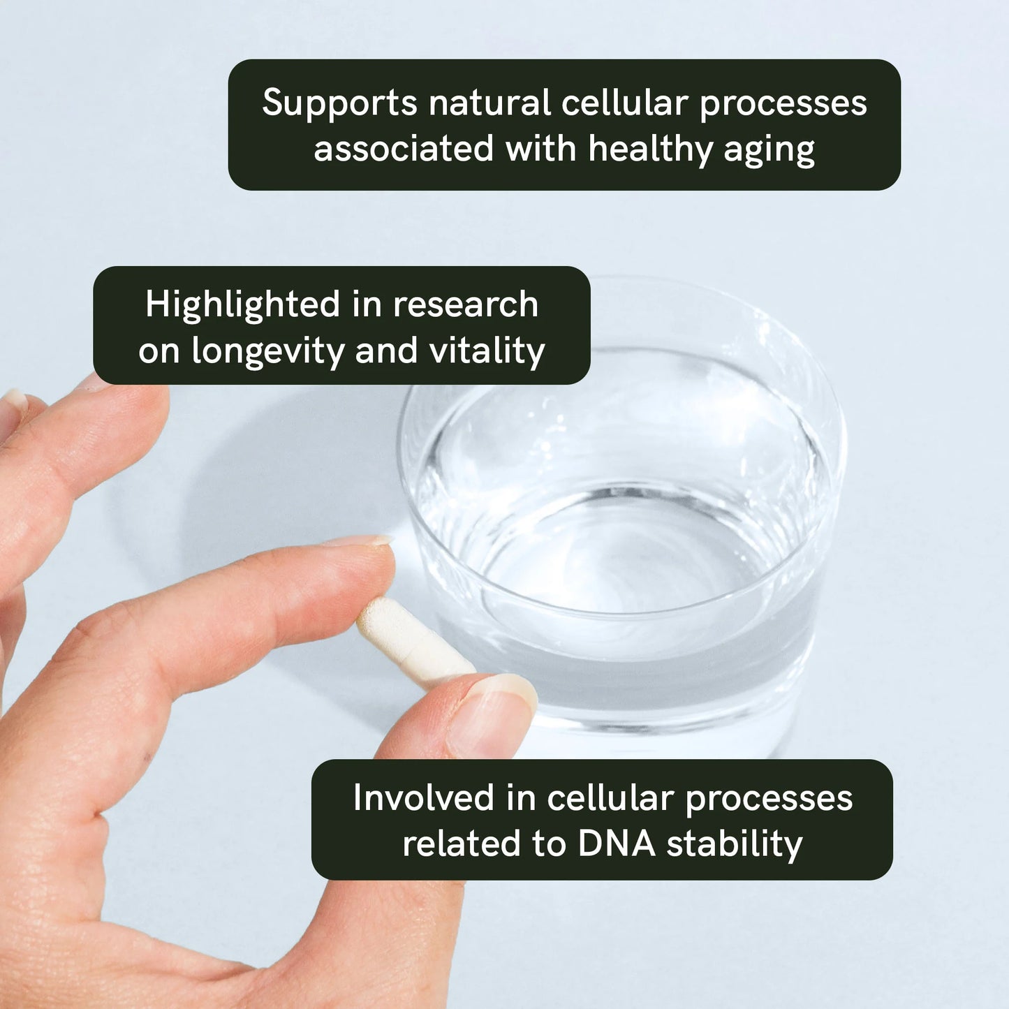NAD+ Capsules