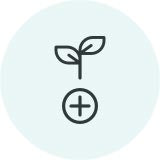 Sign small-Terpene 