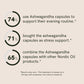 Ashwagandha Capsules