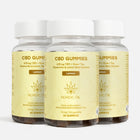 3FOR2: CBD Gummies (600 mg) Relax