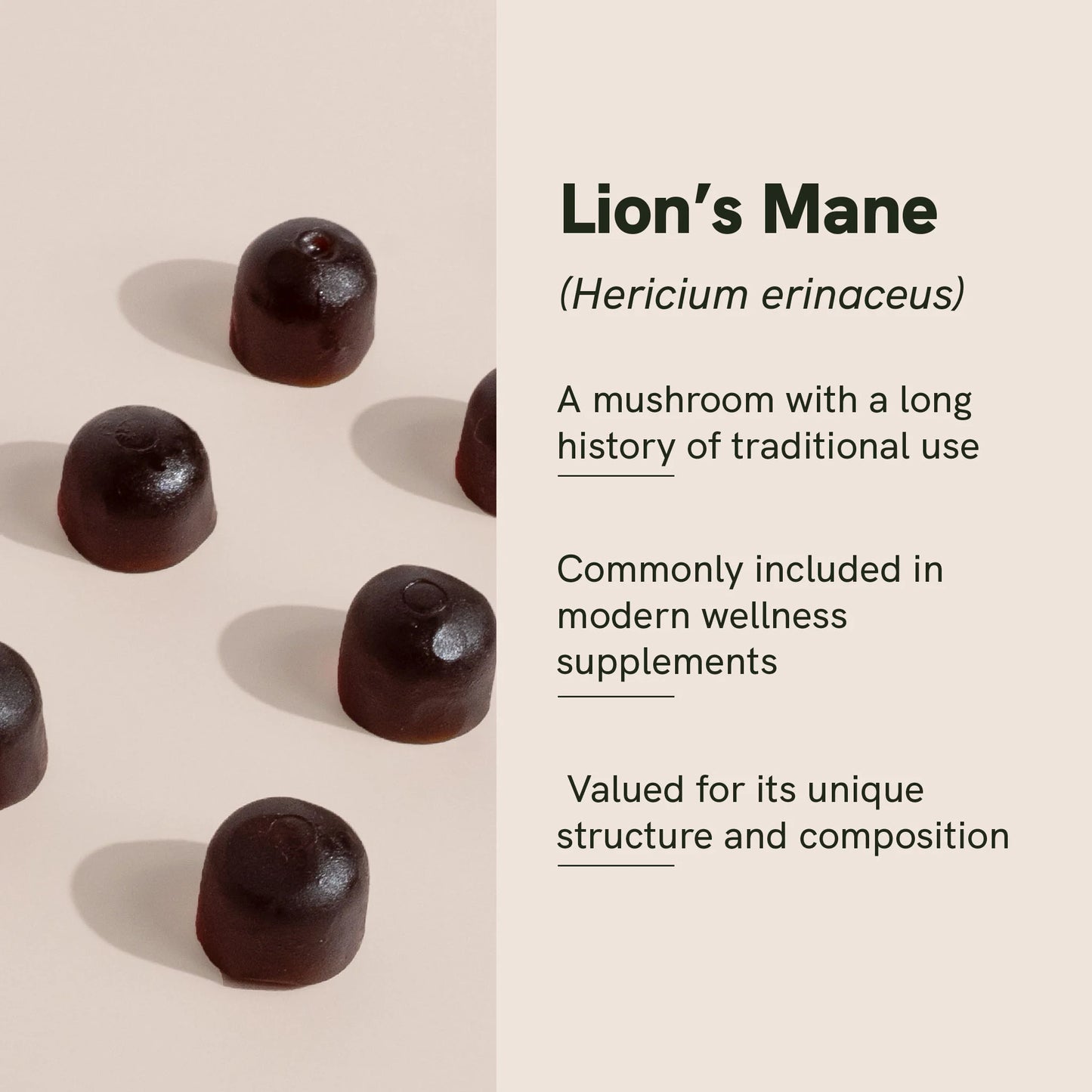 Lion's mane Mushroom Gummies