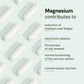 Magnesium complex