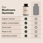 Mushroom Gummies
