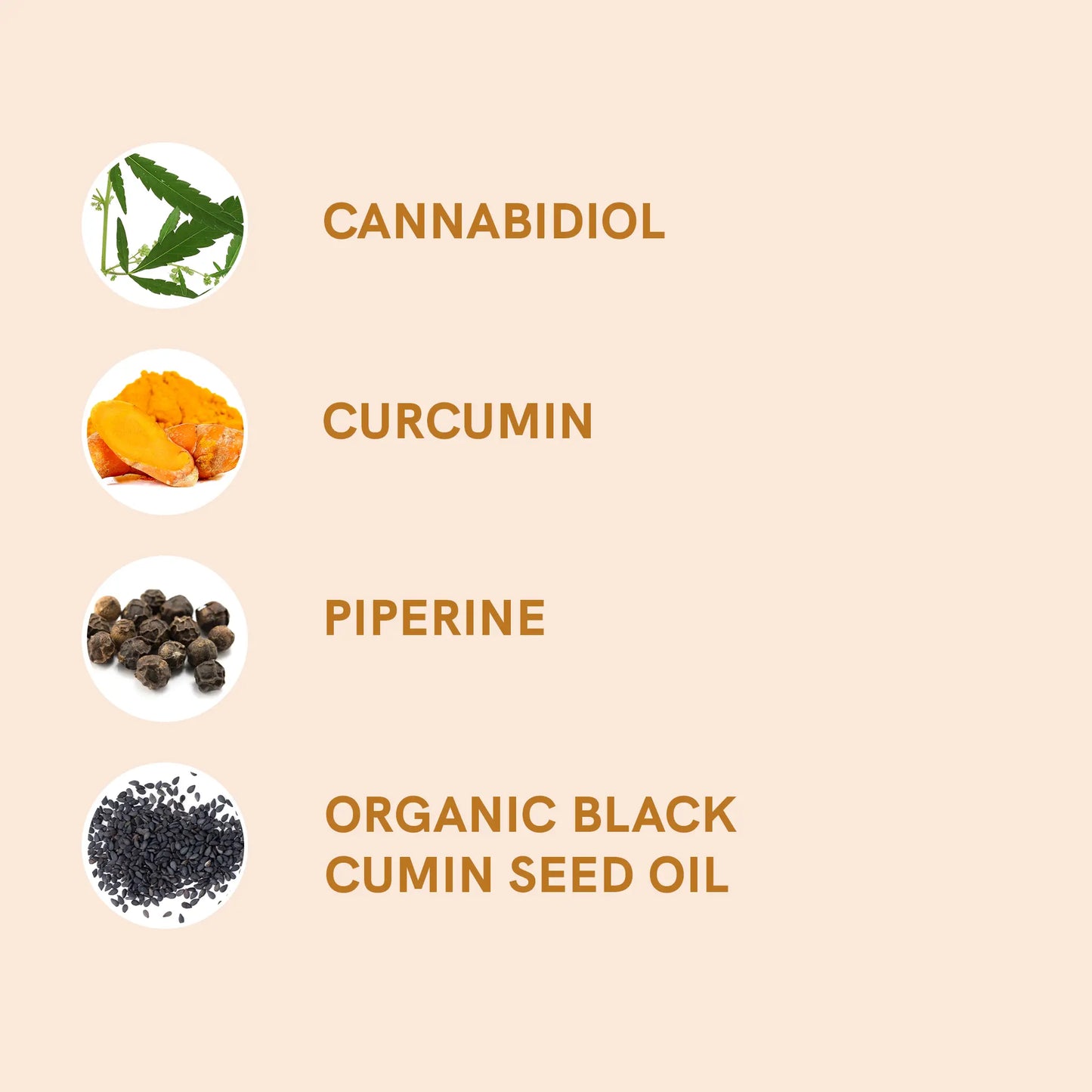 3FOR2: CBD Oil (20%) with Curcumin