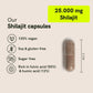 Shilajit Capsules