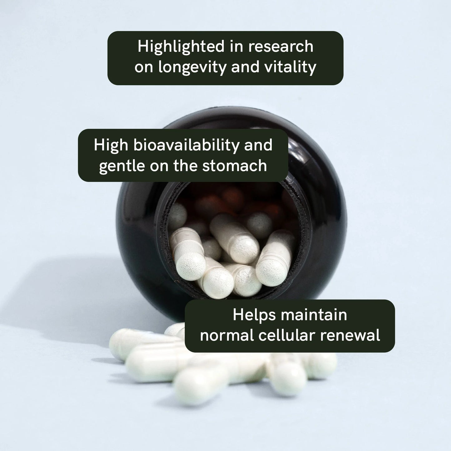 Spermidine Capsules