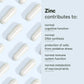 Spermidine Capsules