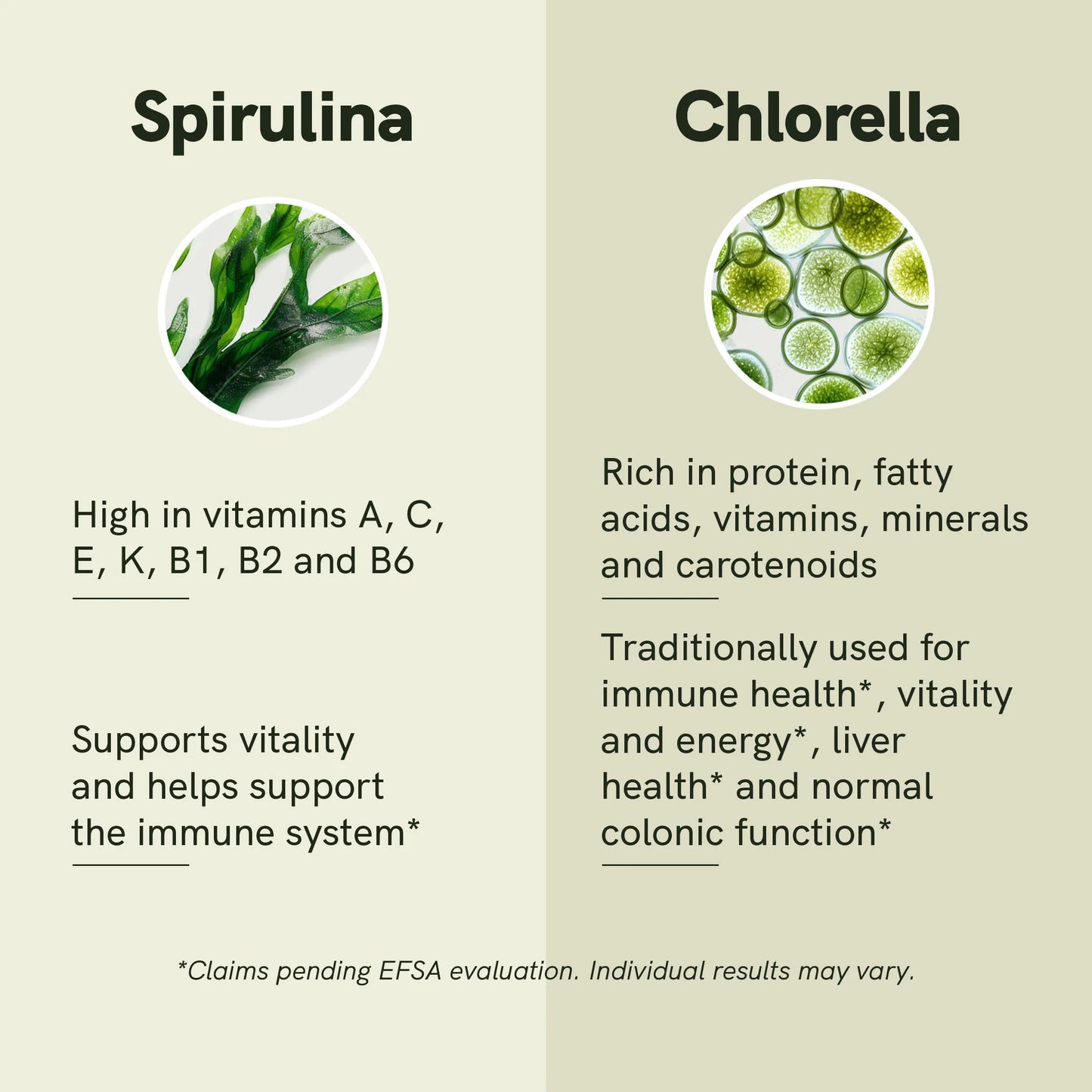 Spirulina Chlorella Powder