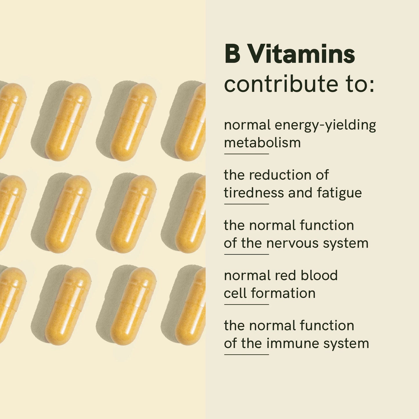 Vitamin B Complex
